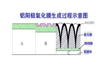 鋁型材硬質(zhì)陽極氧化膜生成過程